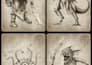 do cool illustrations of fantasy and mythical creatures